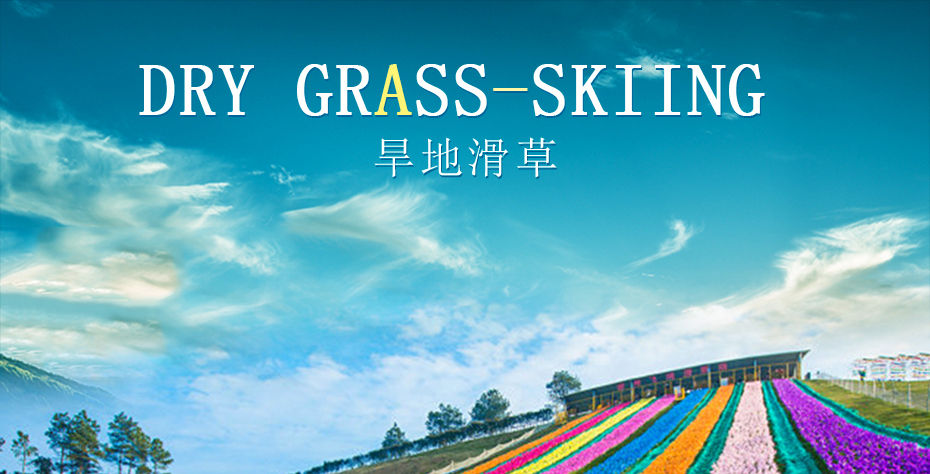 旱雪滑草